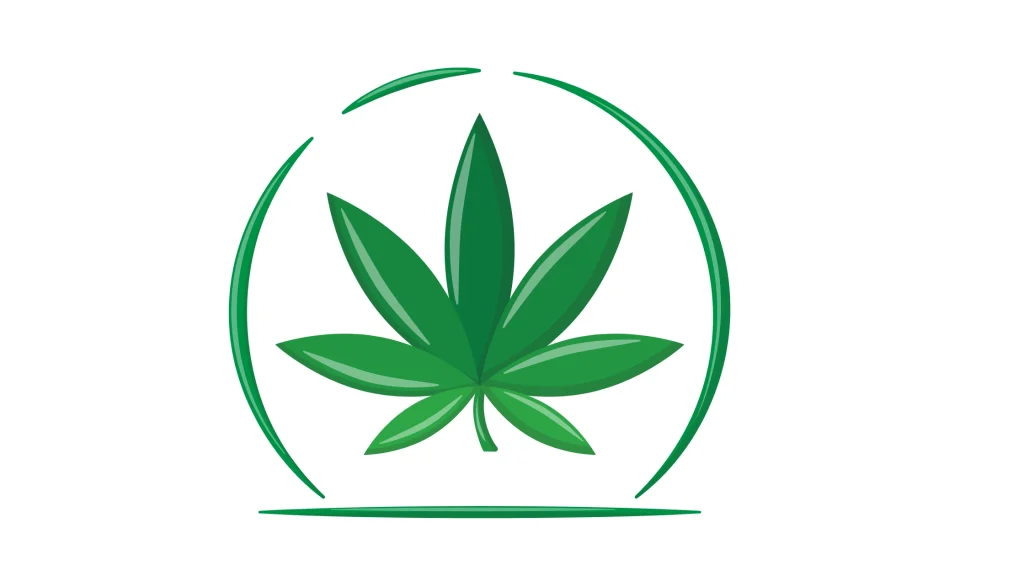 Beste Hanf-Anleitungen 2025