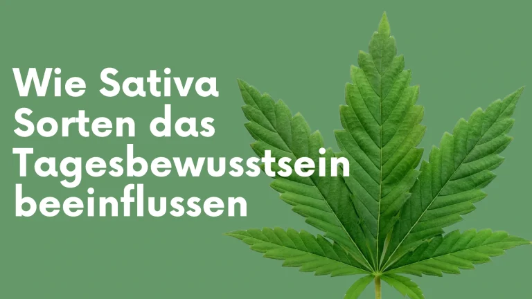 Wie Sativa Sorten das Tagesbewusstsein beeinflussen
