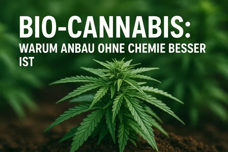 Bio-Cannabis Warum Anbau ohne Chemie besser ist